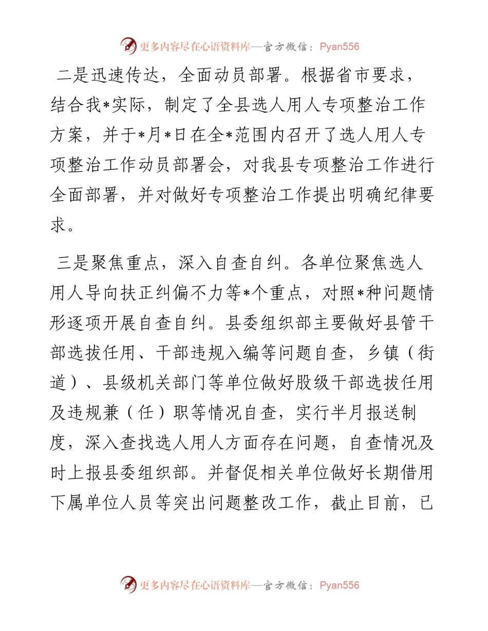 选人用人突出问题专项整治行动阶段性总结.docx_第2页