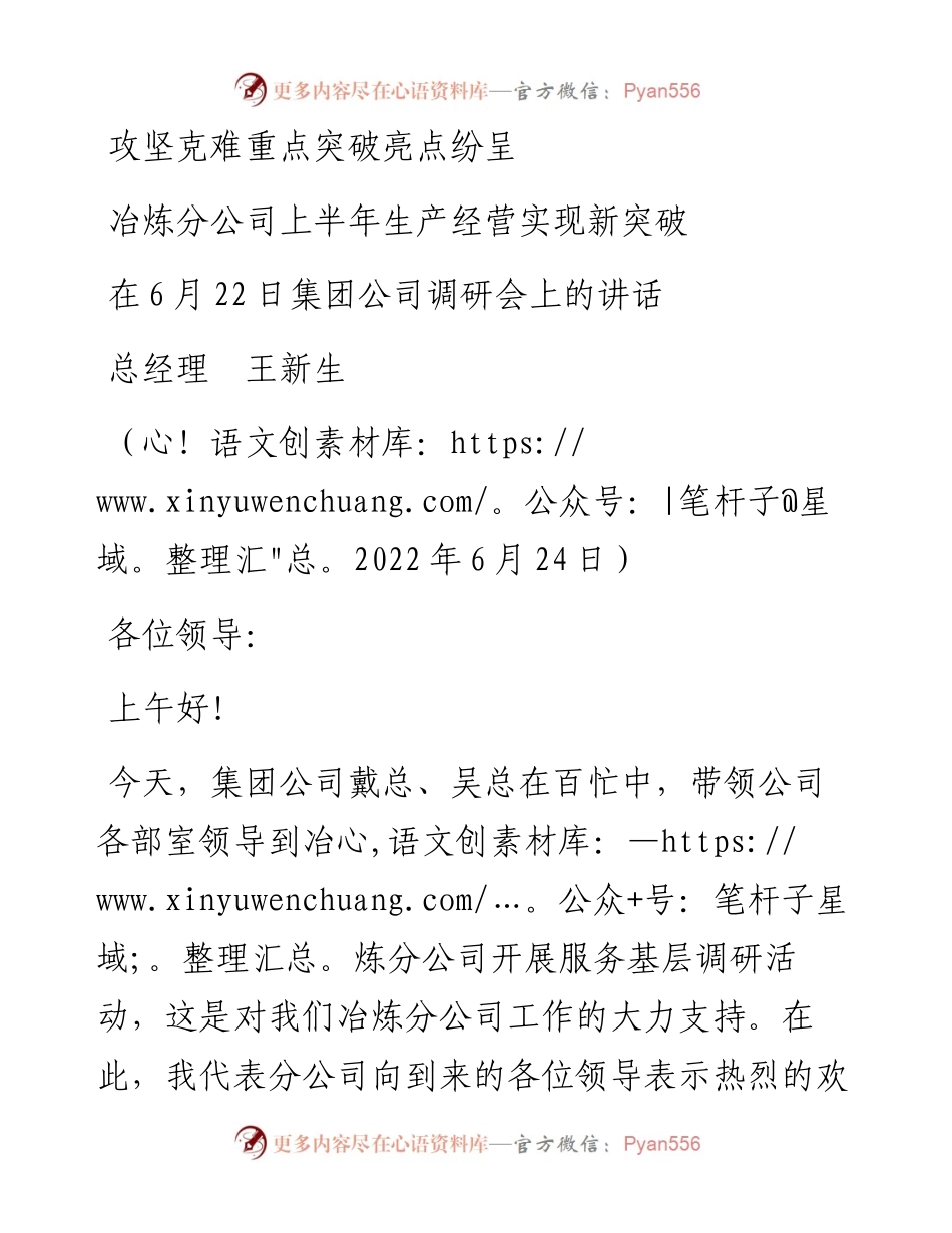 范文系列4020总经理王新生：在6月22日集团公司调研会上的讲话.docx_第1页