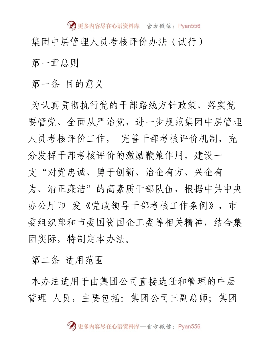 集团中层管理人员考核评价办法（试行）.docx_第1页