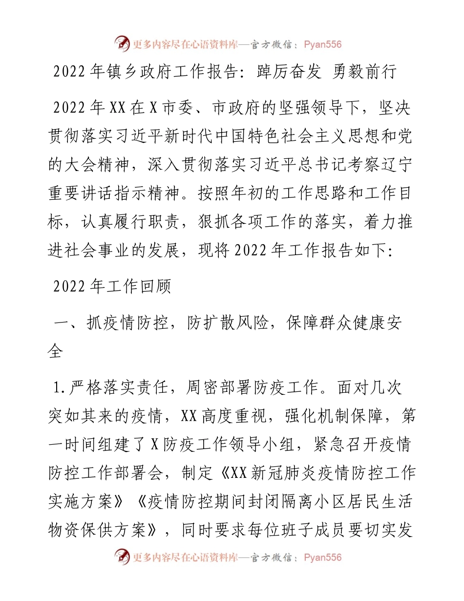 镇乡政府工作报告：踔厉奋发 勇毅前行.docx_第1页