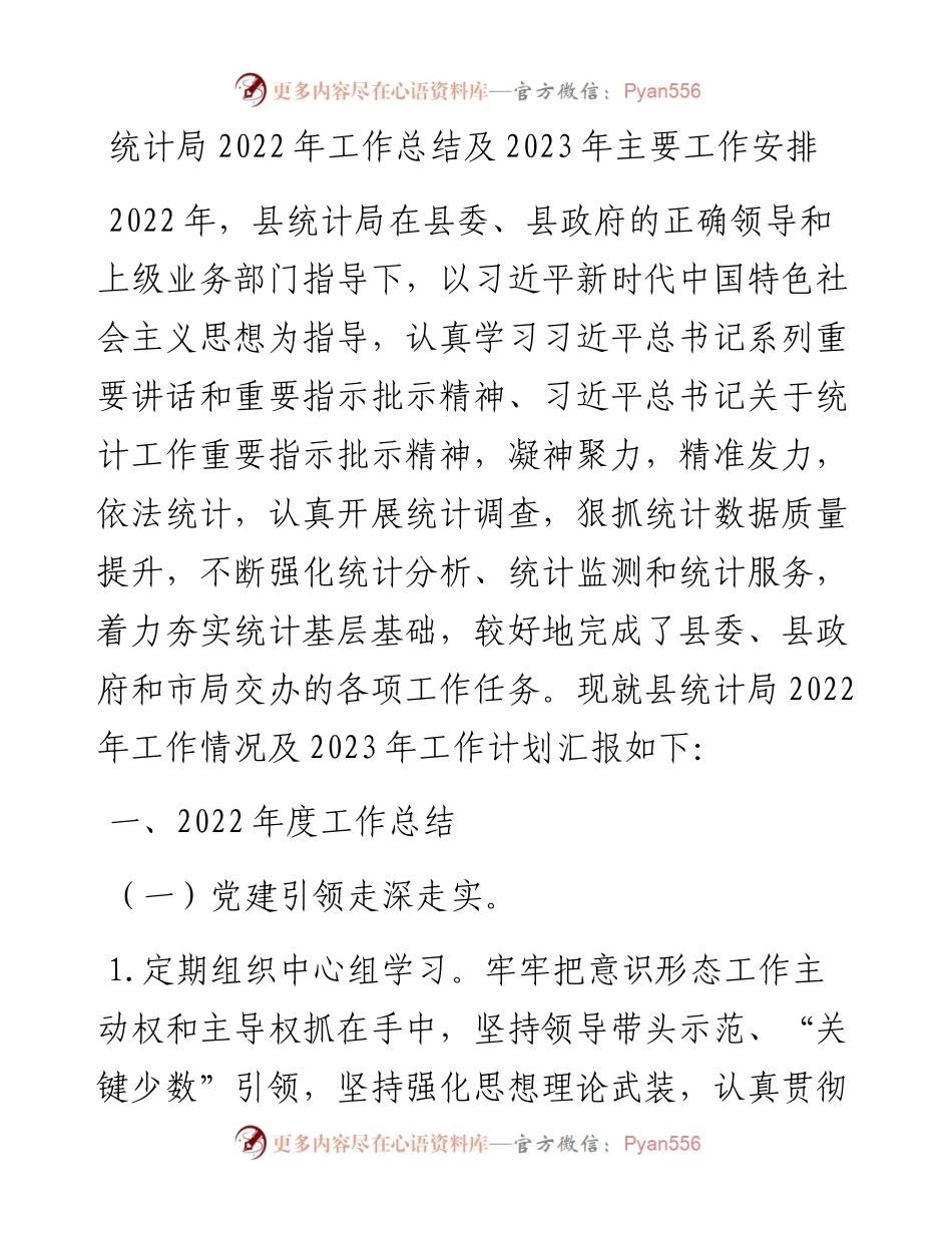 统计局工作总结及2023年主要工作安排.docx_第1页