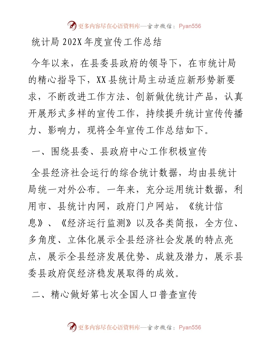 统计局202X年度宣传工作总结.docx_第1页
