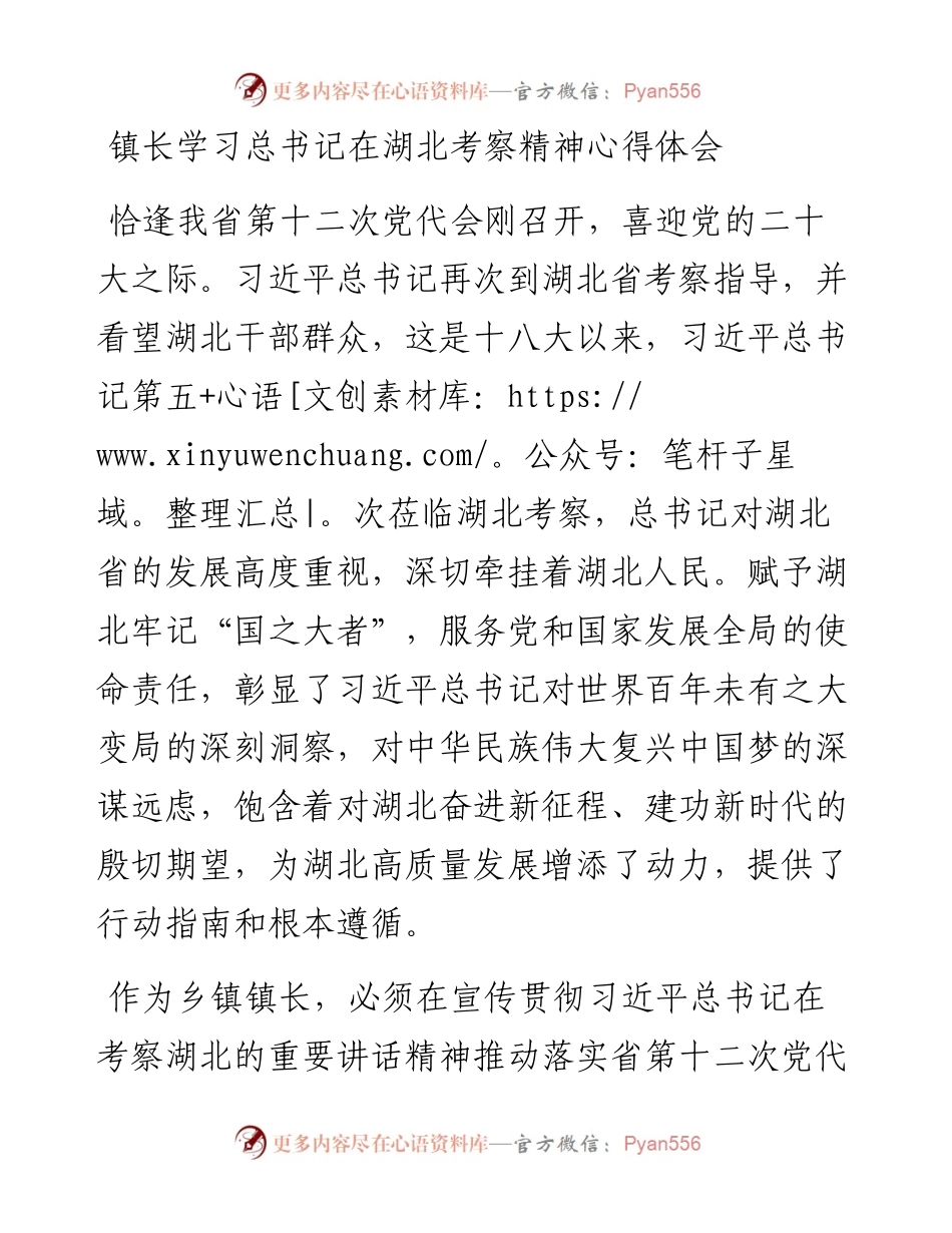 镇长学习总书记在湖北考察精神心得体会.docx_第1页