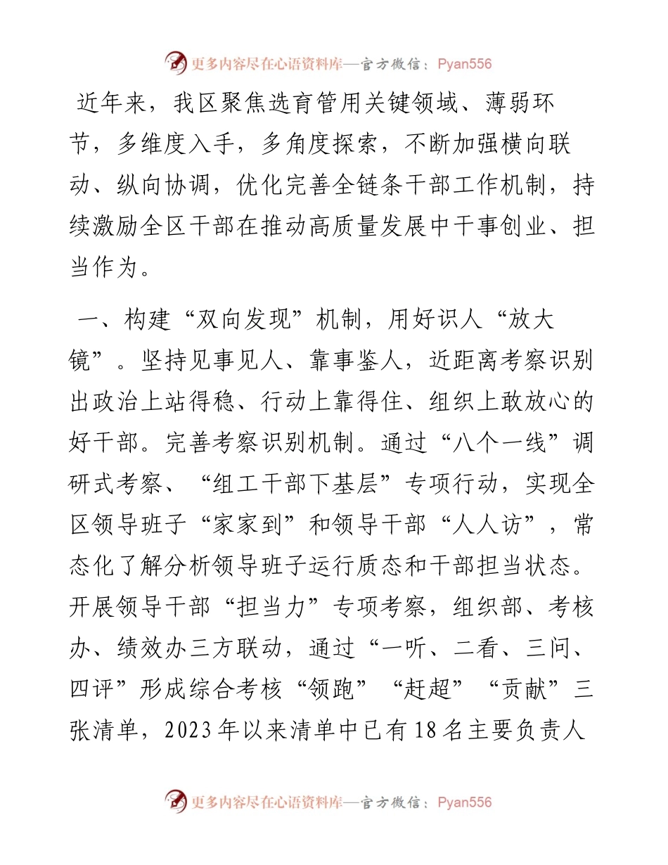 经验交流发言：“四双机制”推动干部敢为善为.docx_第1页