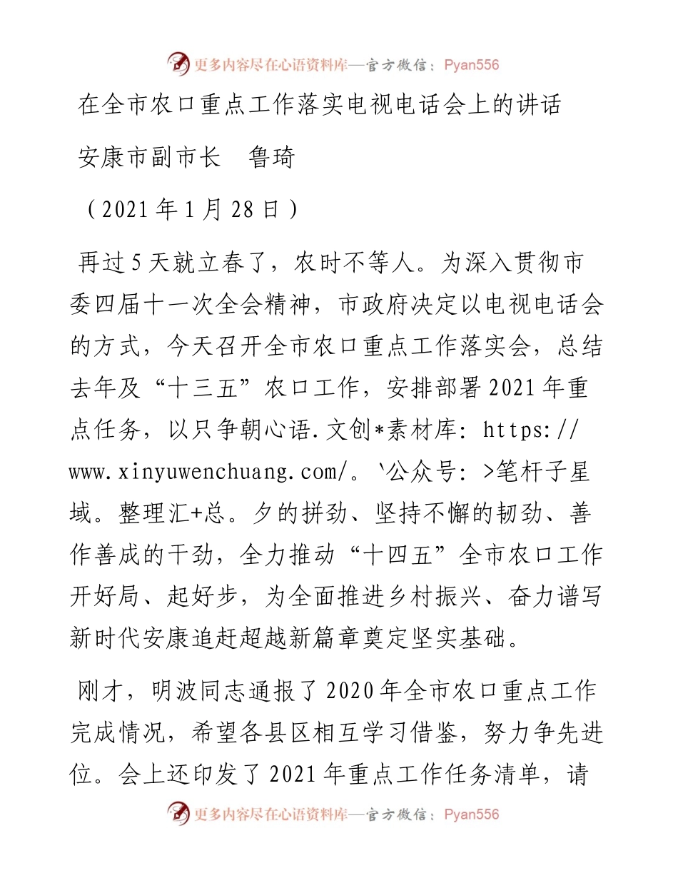 范文系列1173安康市副市长鲁琦：在全市农口重点工作落实电视电话会上的讲话.docx_第1页
