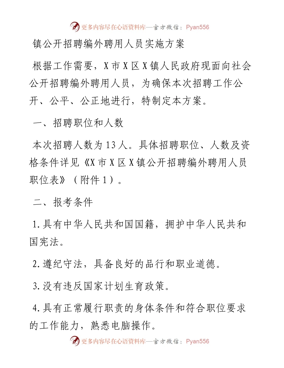 镇公开招聘编外聘用人员实施方案.docx_第1页