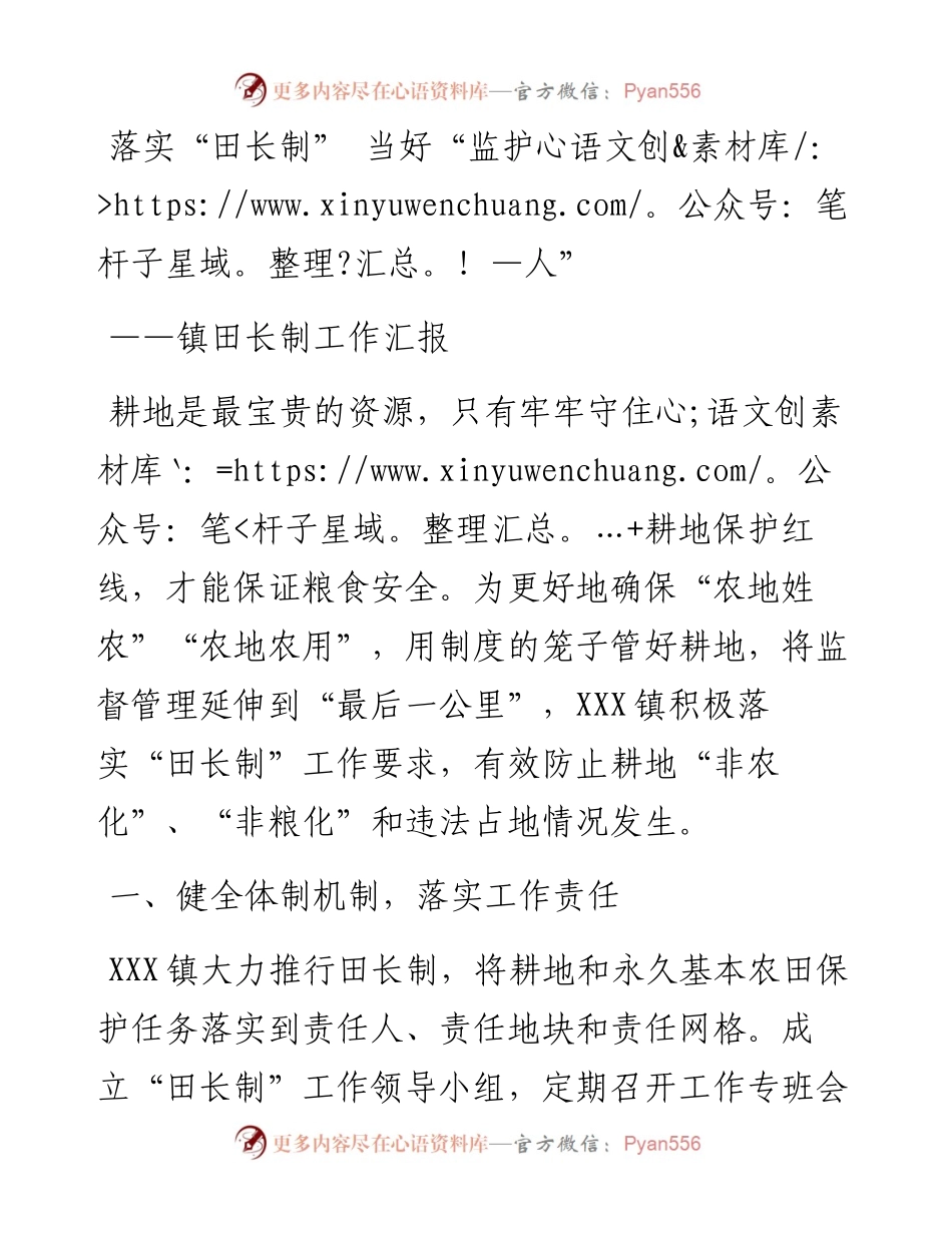 镇田长制工作汇报.docx_第1页