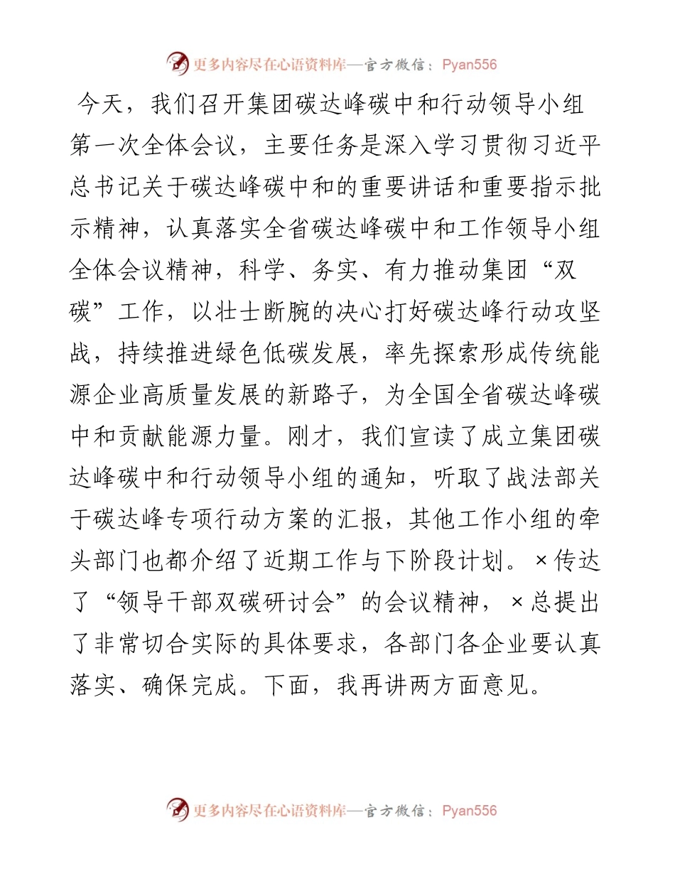 董事长在碳达峰碳中和行动领导小组第一次会议上的讲话.docx_第1页