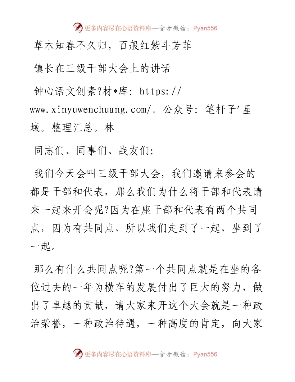 镇长在三级干部大会上的讲话.docx_第1页