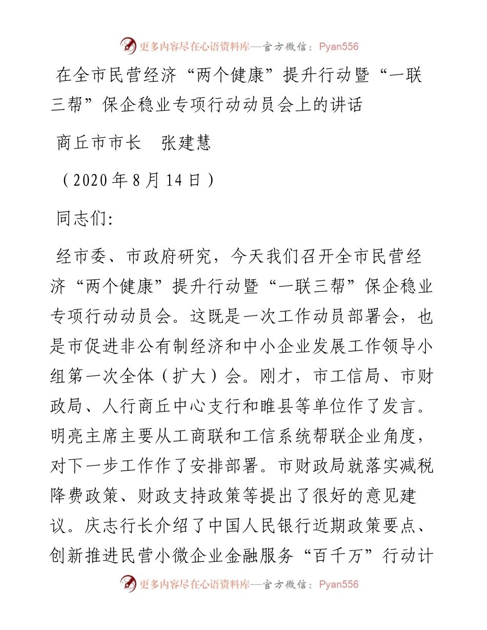 范文系列586商丘市市长张建慧：在全市民营经济“两个健康”提升行动暨“一联三帮”保企稳业专项行动动员会上的讲话.docx_第1页