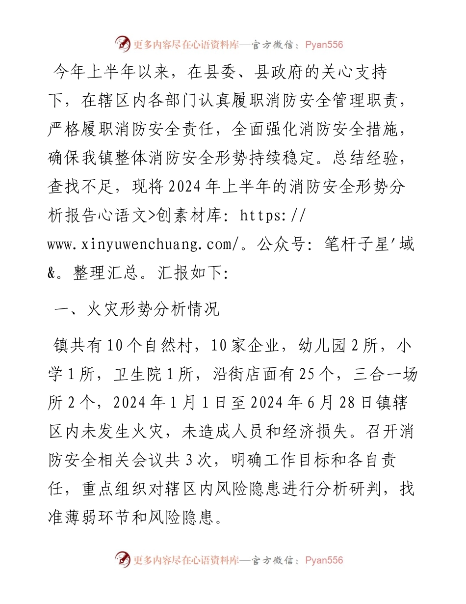 镇人民政府2024上半年消防安全形势分析报告.docx_第1页