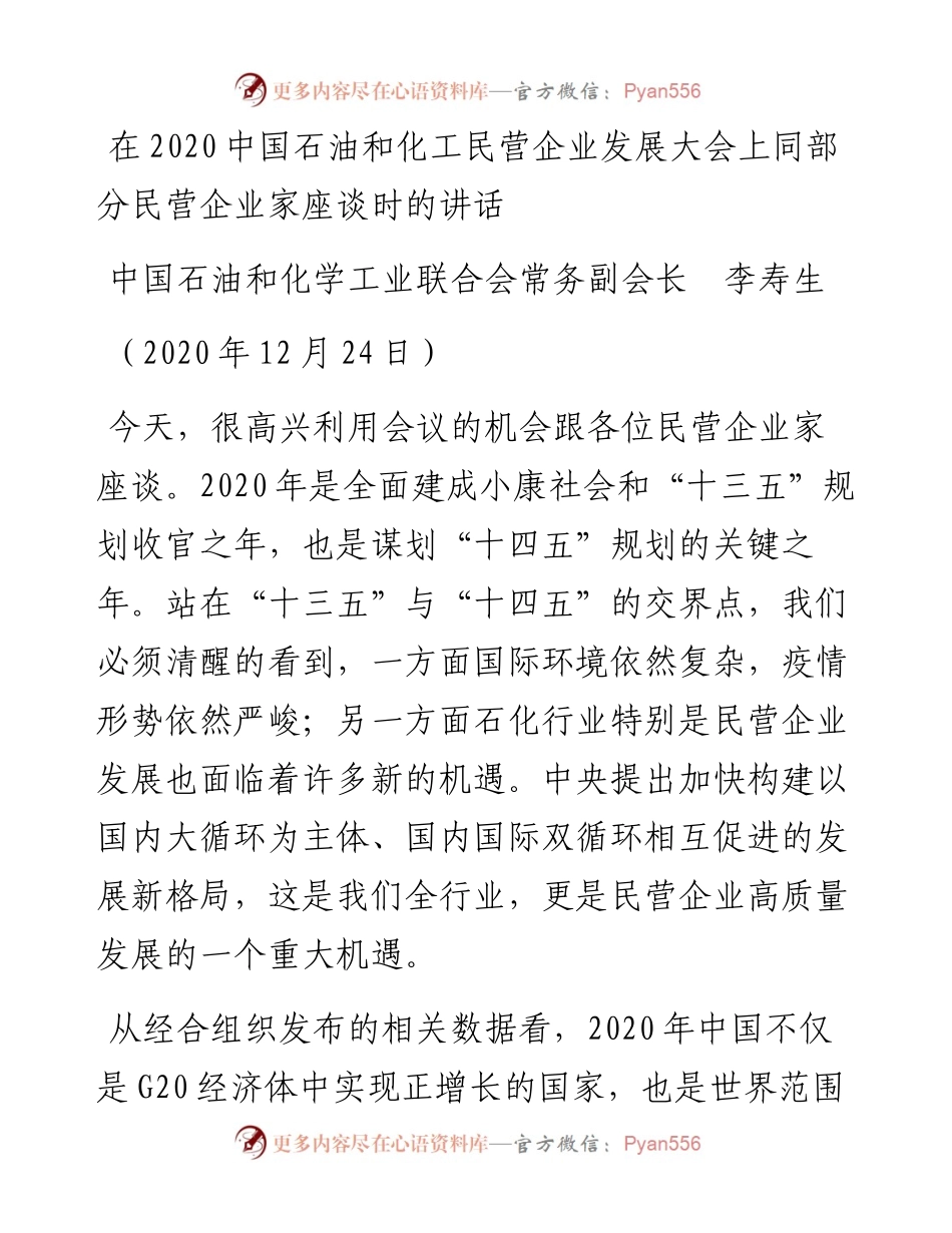 范文系列1008中国石油和化学工业联合会常务副会长李寿生：在中国石油和化工民营企业发展大会上同部分民营企业家座谈时的讲话.docx_第1页