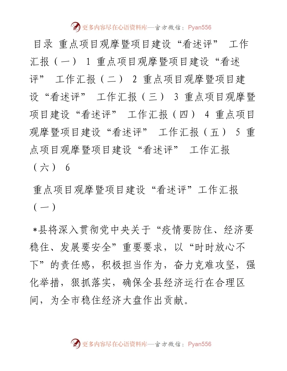 重点项目观摩暨项目建设“看述评”工作汇报汇编（6篇）.docx_第1页