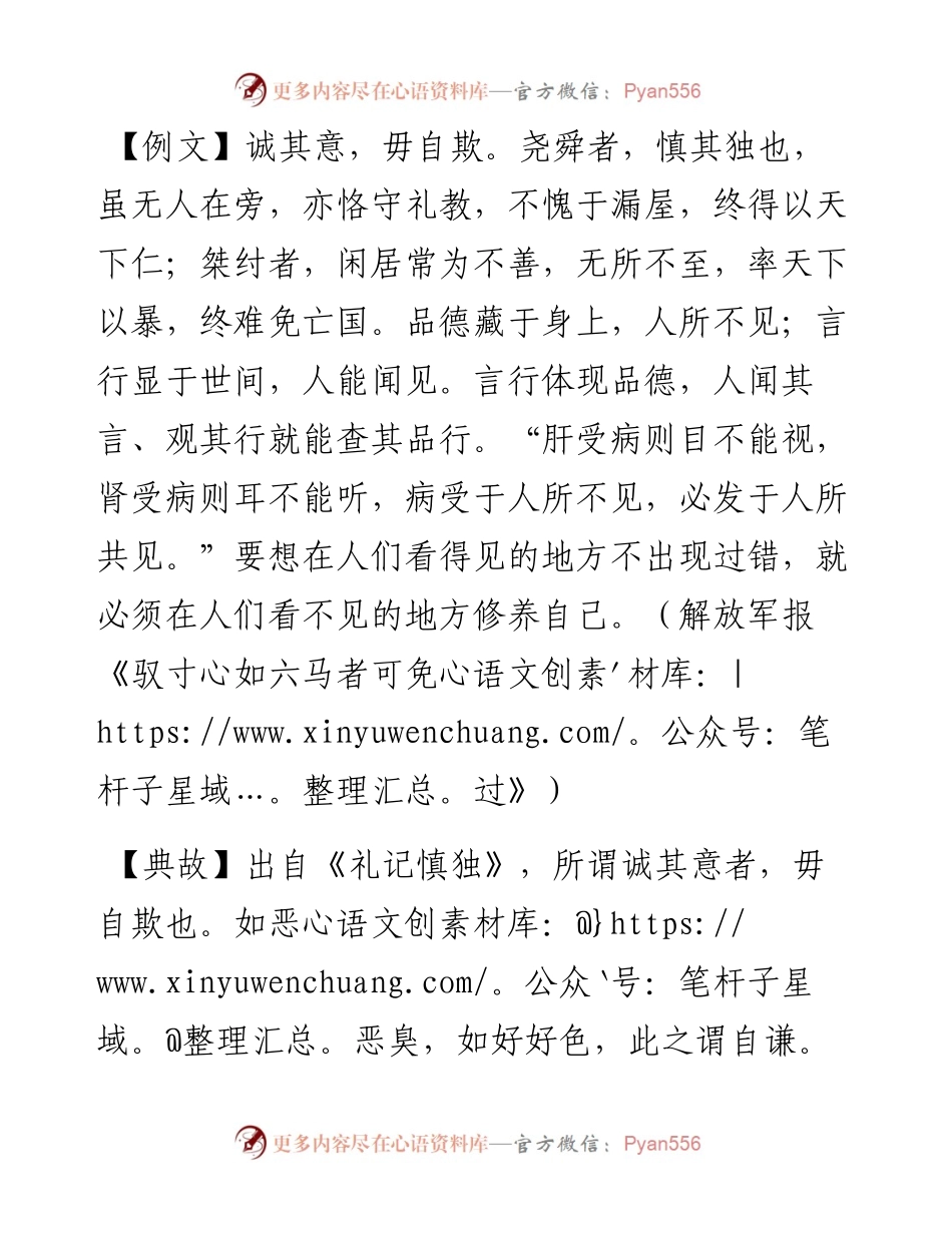 诚其意，毋自欺.docx_第1页