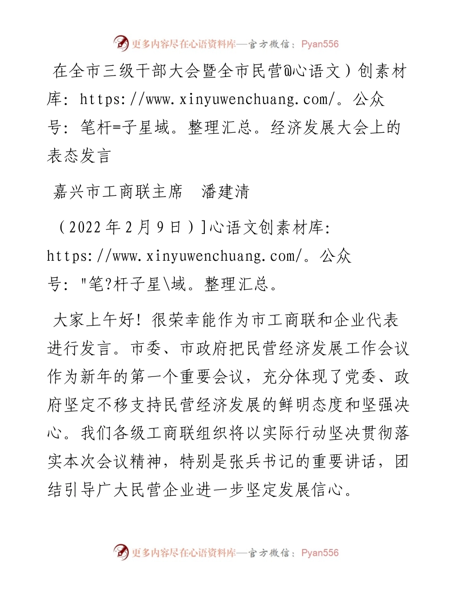 范文系列3063嘉兴市工商联主席潘建清：在全市三级干部大会暨全市民营经济发展大会上的表态发言.docx_第1页