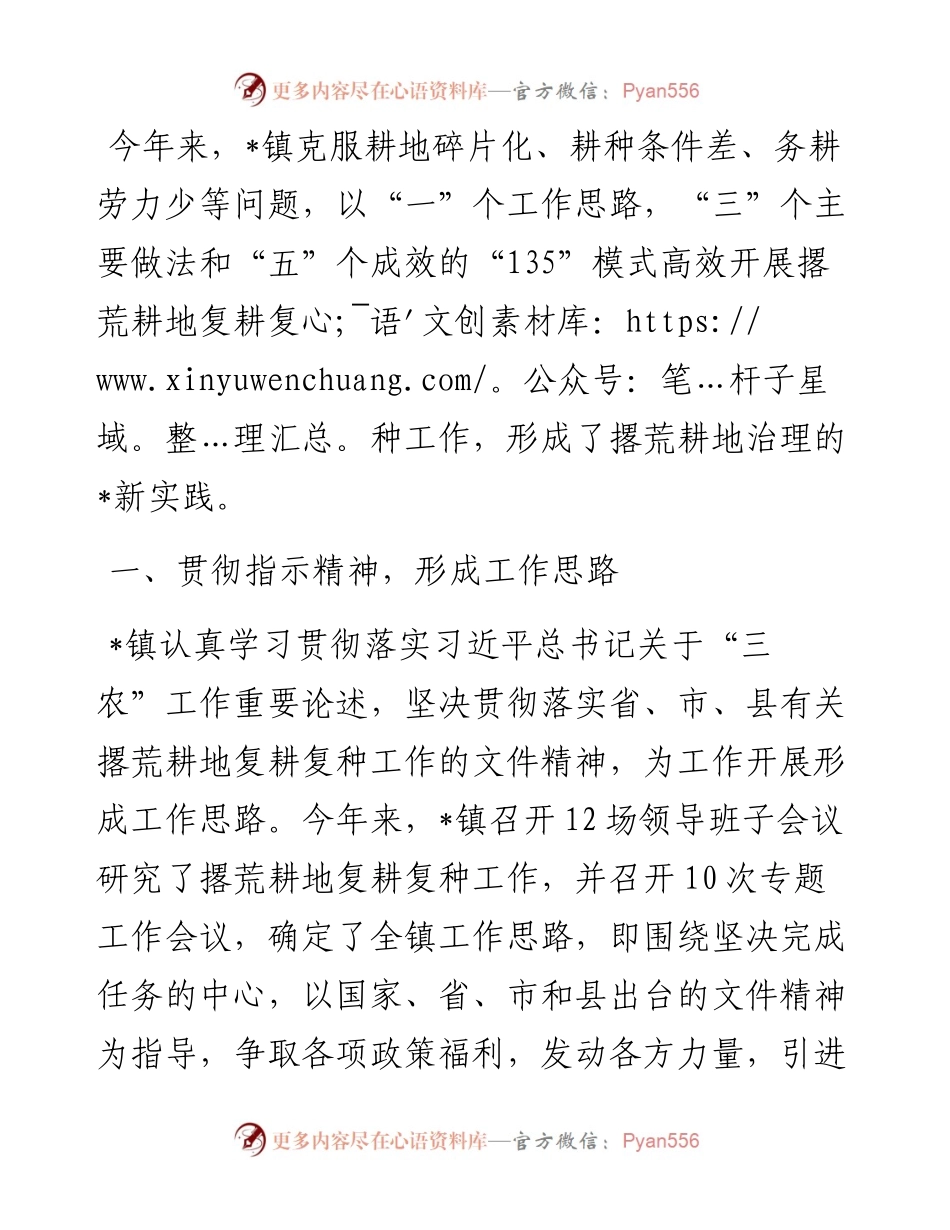 经验交流：某镇运用“135”工作法打造撂荒耕地治理新样板.docx_第1页