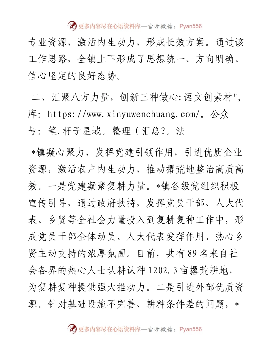 经验交流：某镇运用“135”工作法打造撂荒耕地治理新样板.docx_第2页