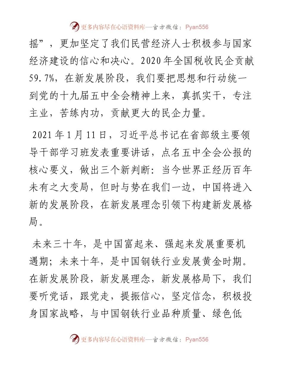 范文系列1222德龙集团董事长丁立国：在全联冶金商会会上的讲话.docx_第2页