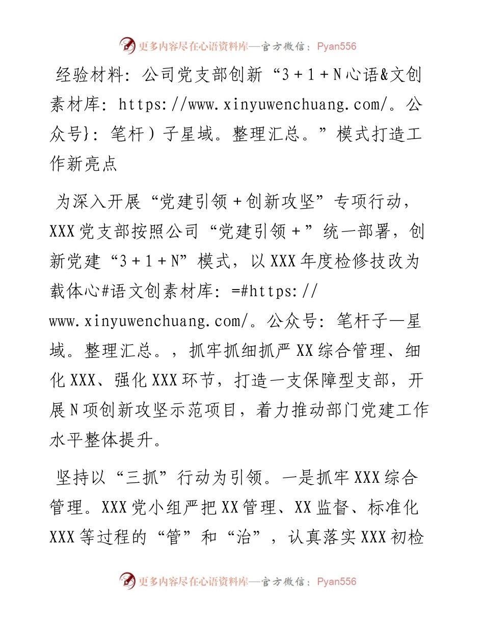 经验材料：公司党支部创新“3＋1＋N”模式打造工作新亮点.docx_第1页