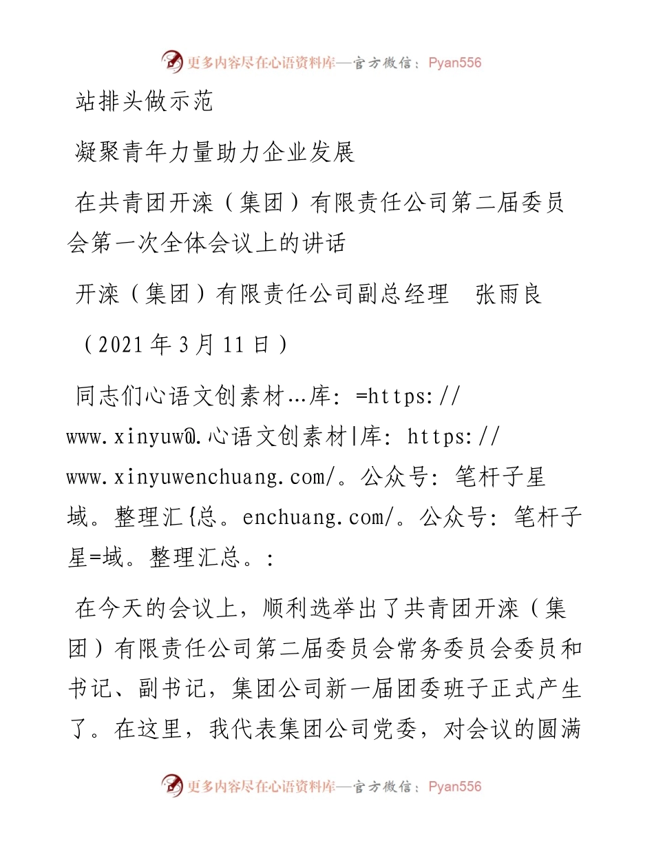 范文系列1362开滦（集团）有限责任公司副总经理张雨良：在共青团开滦（集团）有限责任公司第二届委员会第一次全体会议上的讲话.docx_第1页