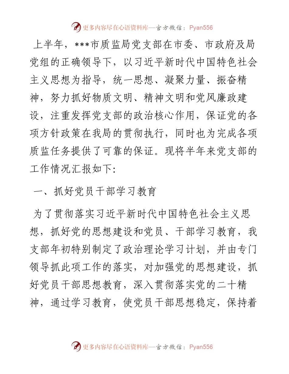 质监局党支部上半年工作总结.docx_第1页