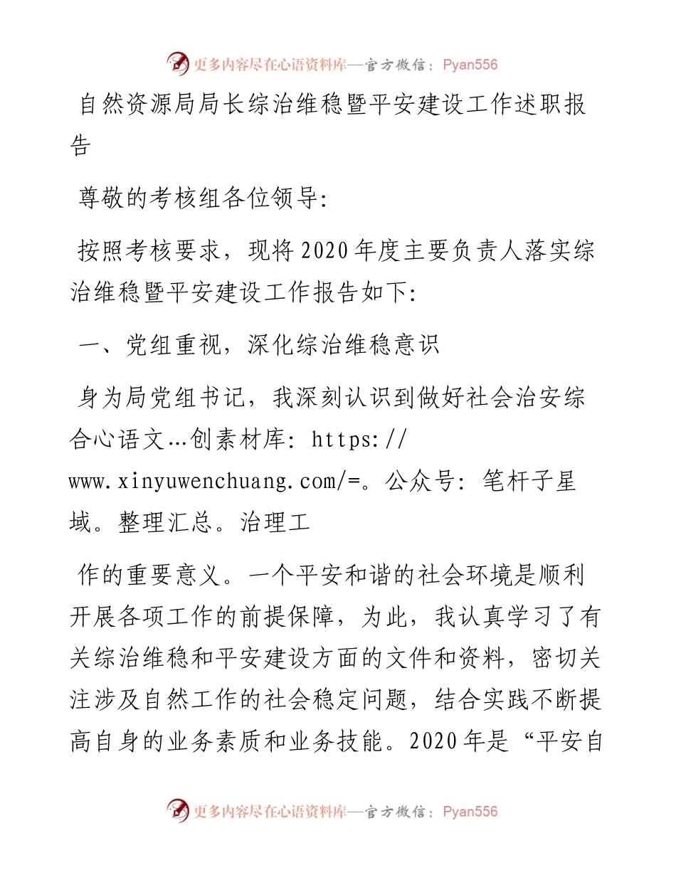 自然资源局局长综治维稳暨平安建设工作述职报告.docx_第1页