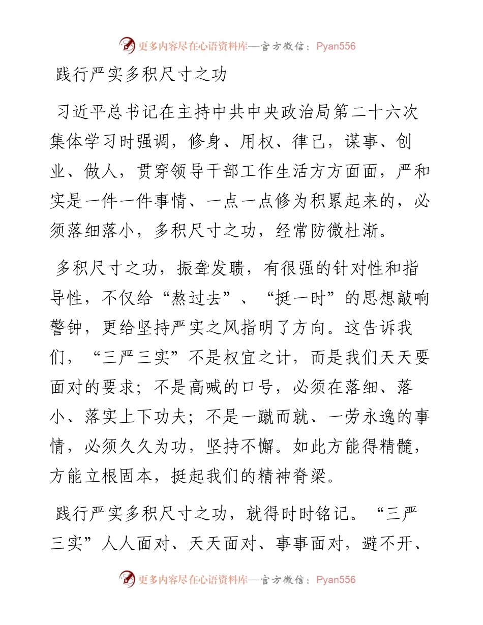 践行严实多积尺寸之功.docx_第1页