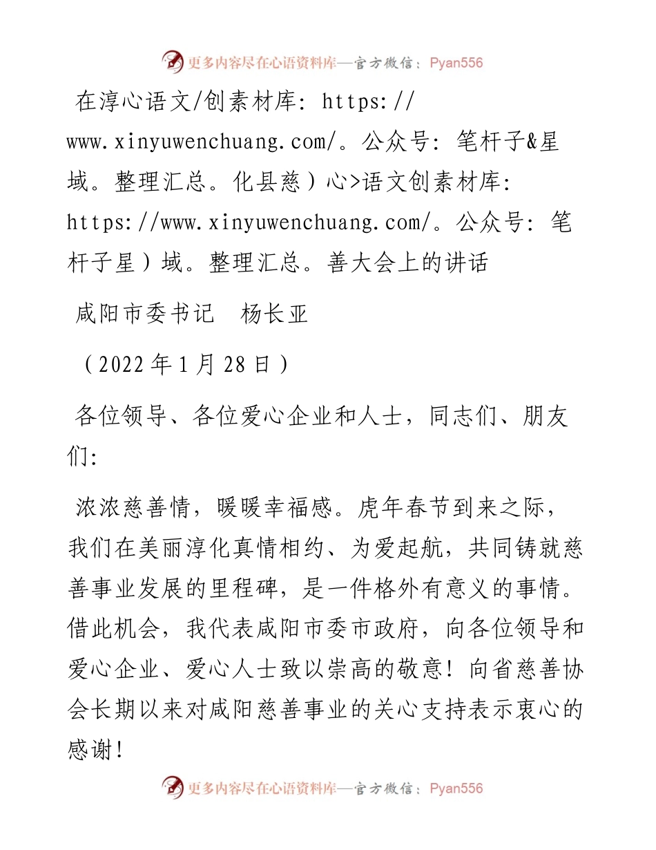 范文系列3237咸阳市委书记杨长亚：在淳化县慈善大会上的讲话.docx_第1页