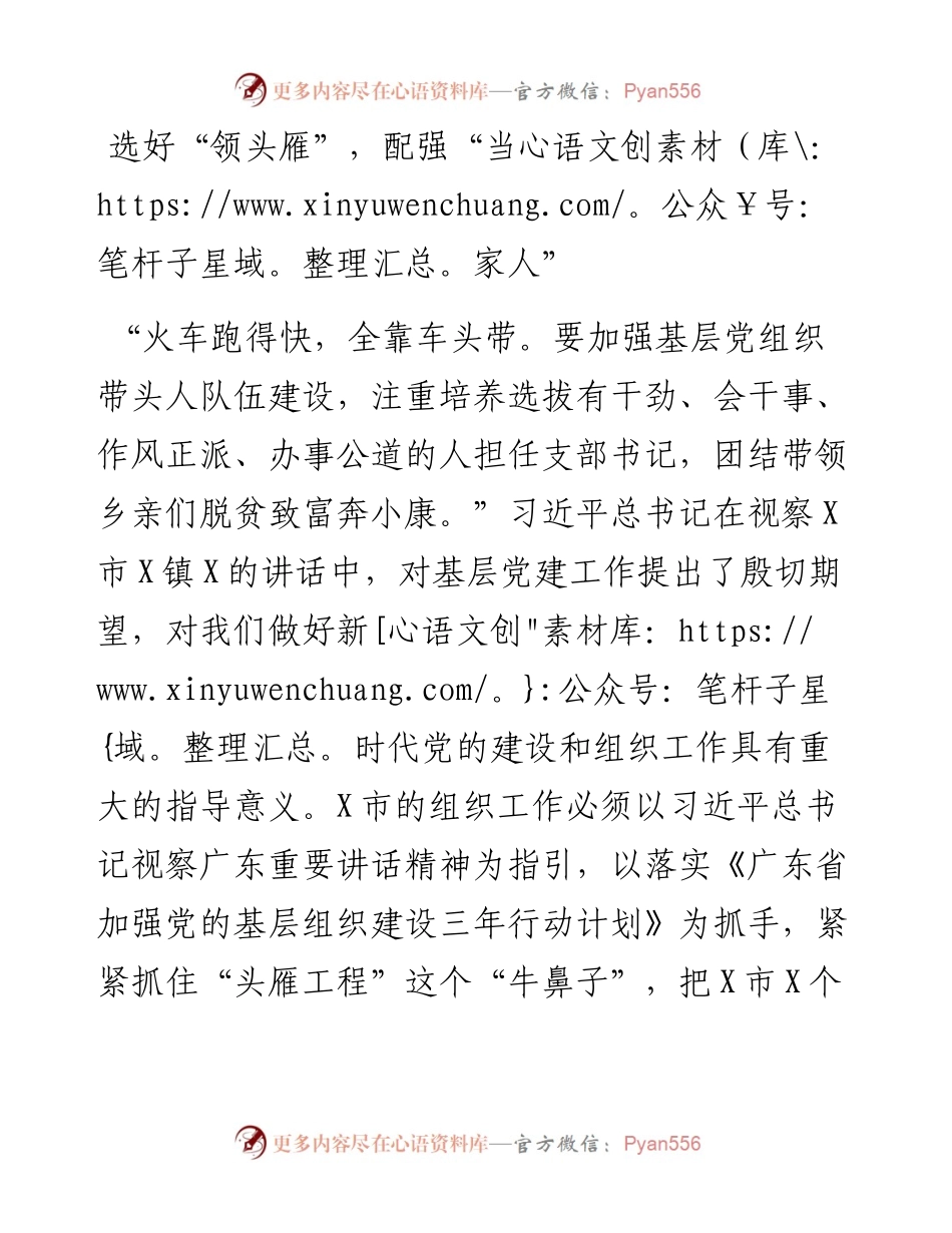 选好领头雁配强当家人.docx_第1页