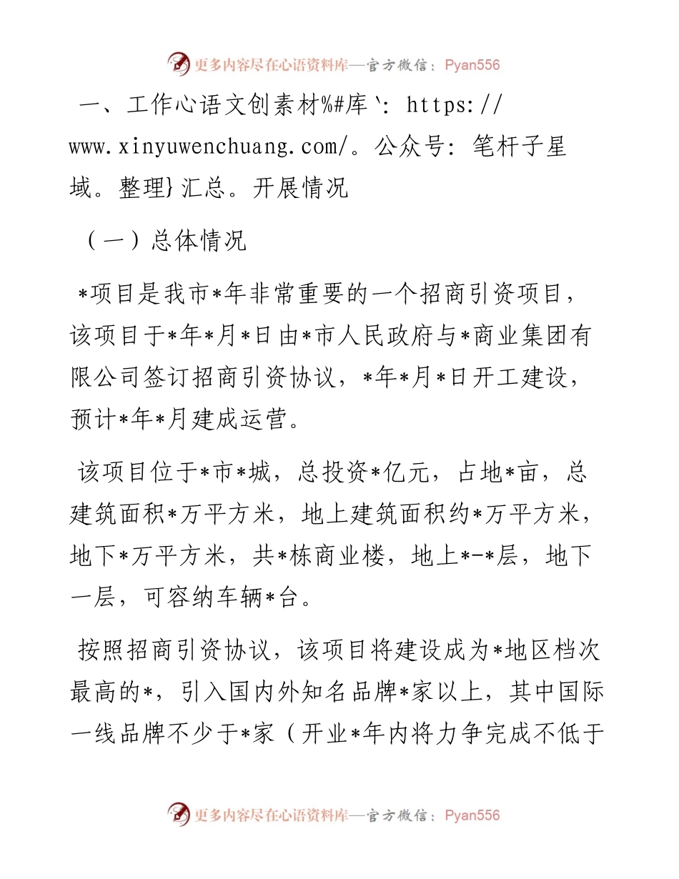 重大项目工作开展情况汇报.docx_第1页
