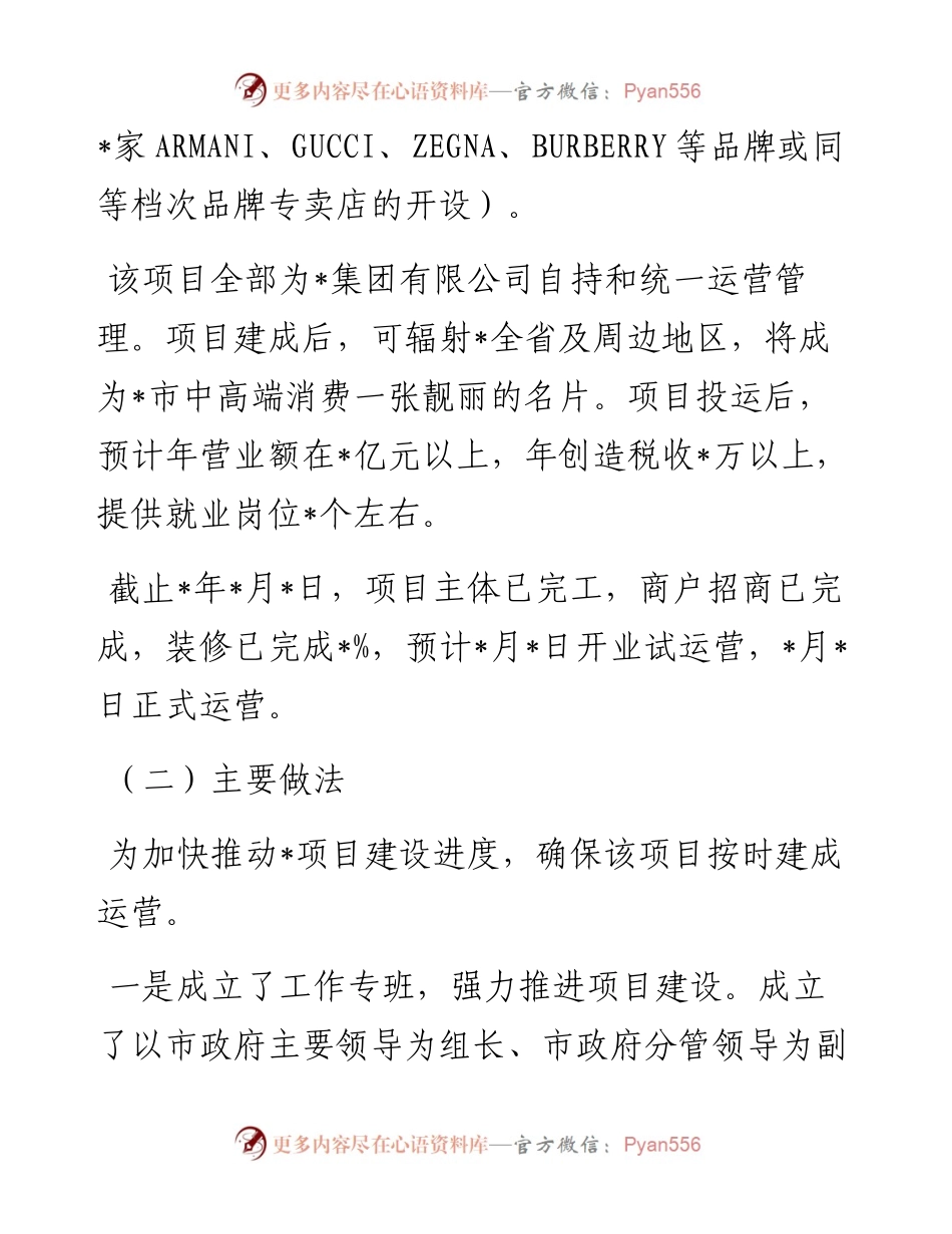重大项目工作开展情况汇报.docx_第2页