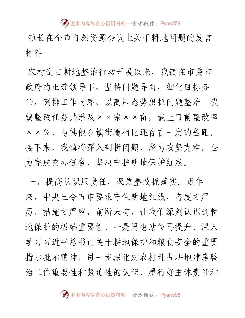 镇长在全市自然资源会议上关于耕地问题的发言材料.docx_第1页
