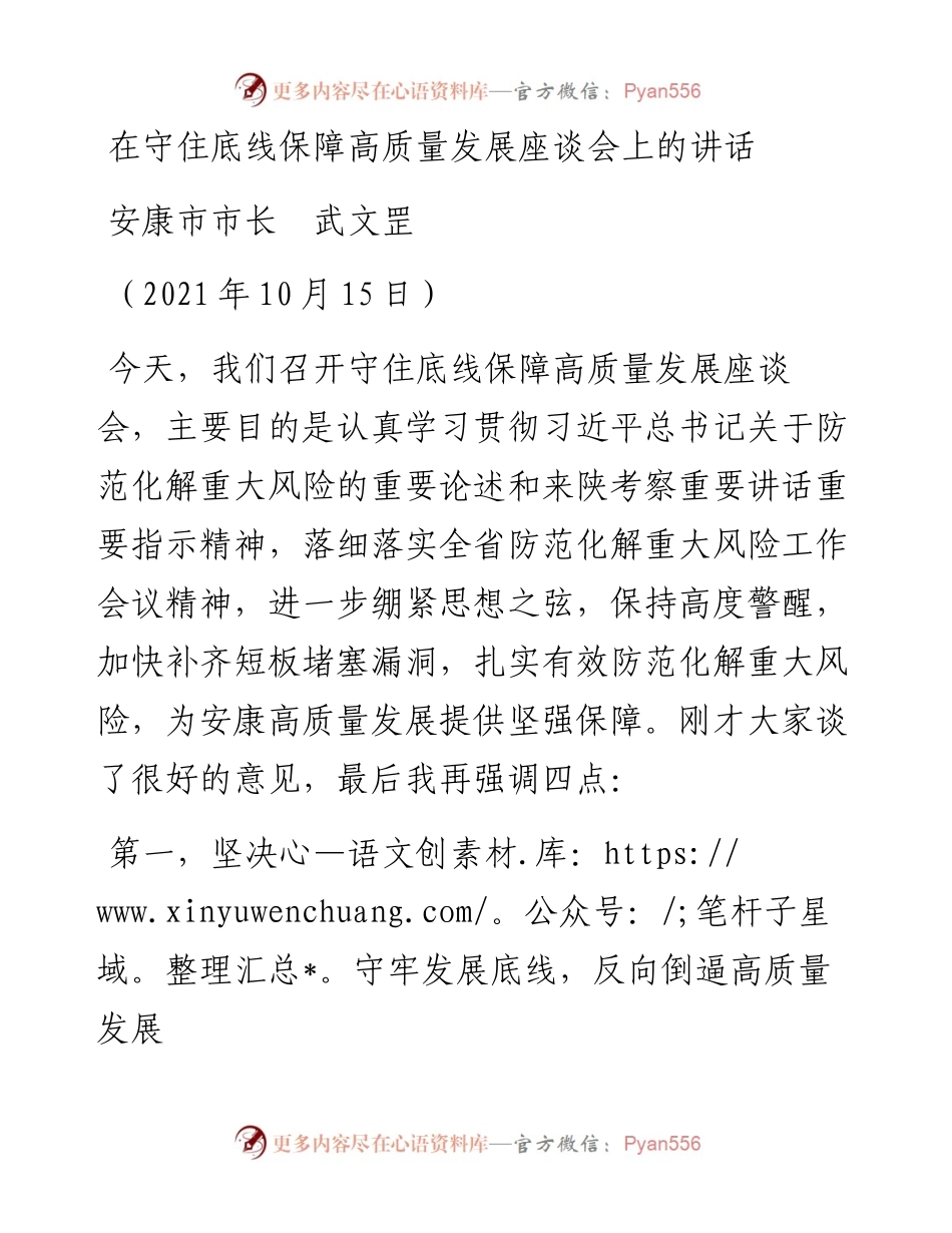 范文系列2445安康市市长武文罡：在守住底线保障高质量发展座谈会上的讲话.docx_第1页