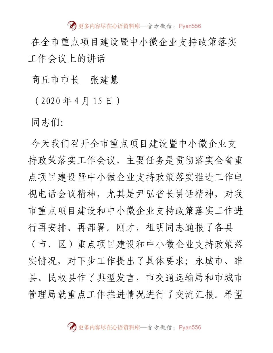 范文系列122商丘市市长张建慧在全市重点项目建设暨中小微企业支持政策落实工作会议上的讲话.docx_第1页