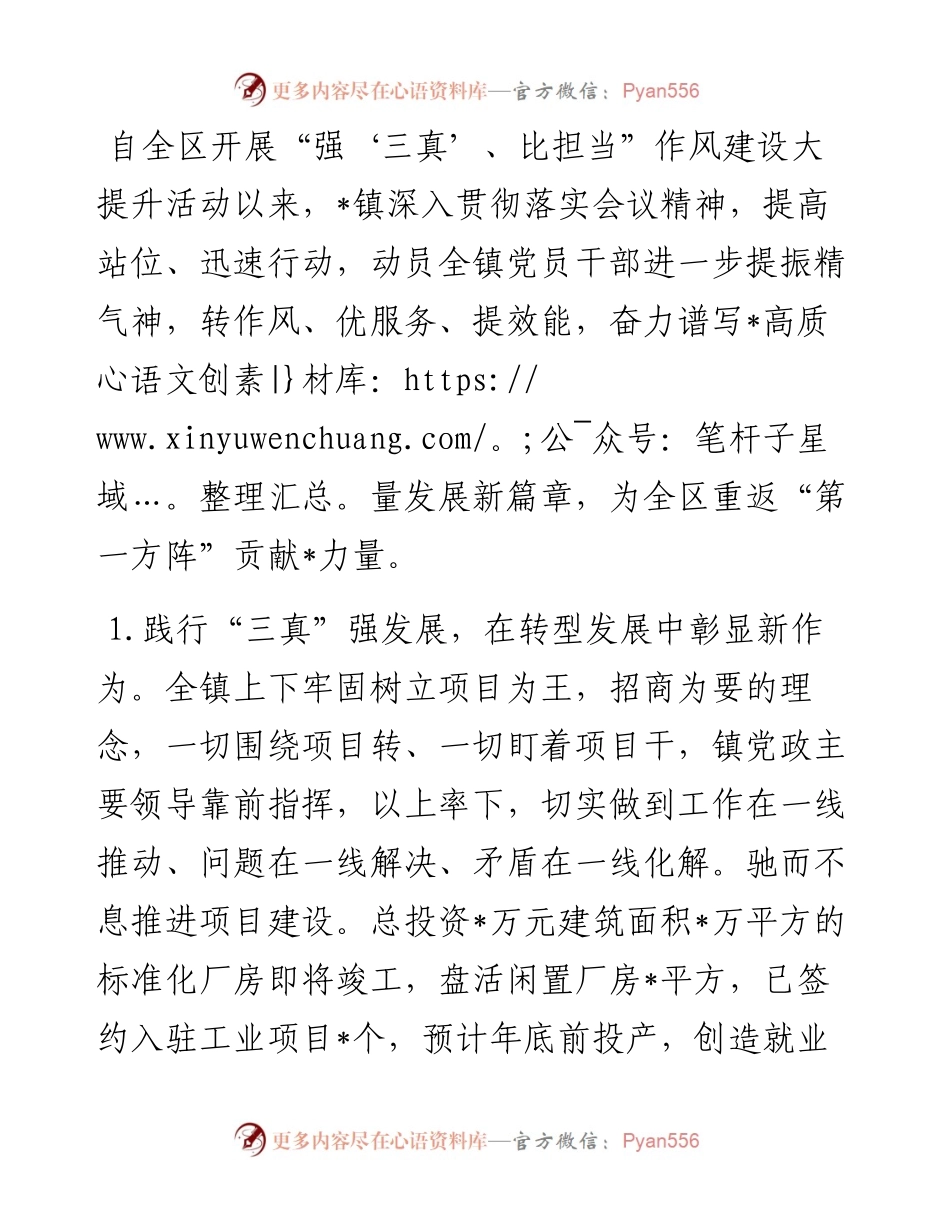 践行“三真”精神 ,奋力谱写中扬高质量发展新篇章——“一把手”作风建设交流发言材料.docx_第1页