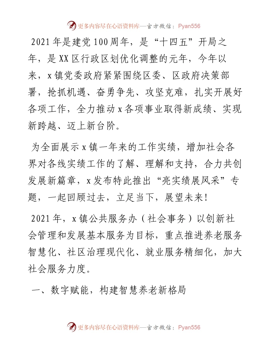 镇公共服务办公室、社会事务工作总结.docx_第1页