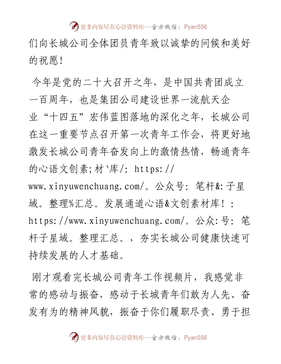 范文系列3945集团公司团委书记钟璞：在长城公司第一次青年工作会上的讲话.docx_第2页