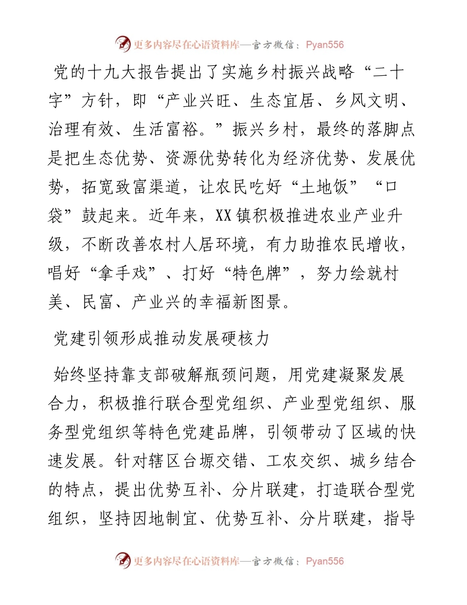 镇乡村振兴工作纪实.docx_第1页