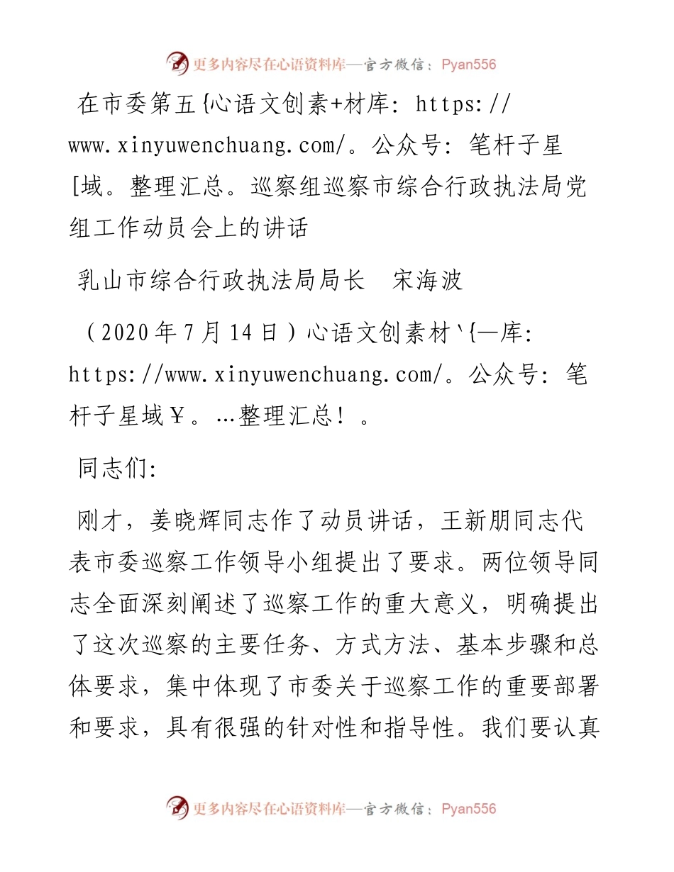 范文系列486乳山市综合行政执法局局长宋海波：在市委第五巡察组巡察市综合行政执法局党组工作动员会上的讲话.docx_第1页