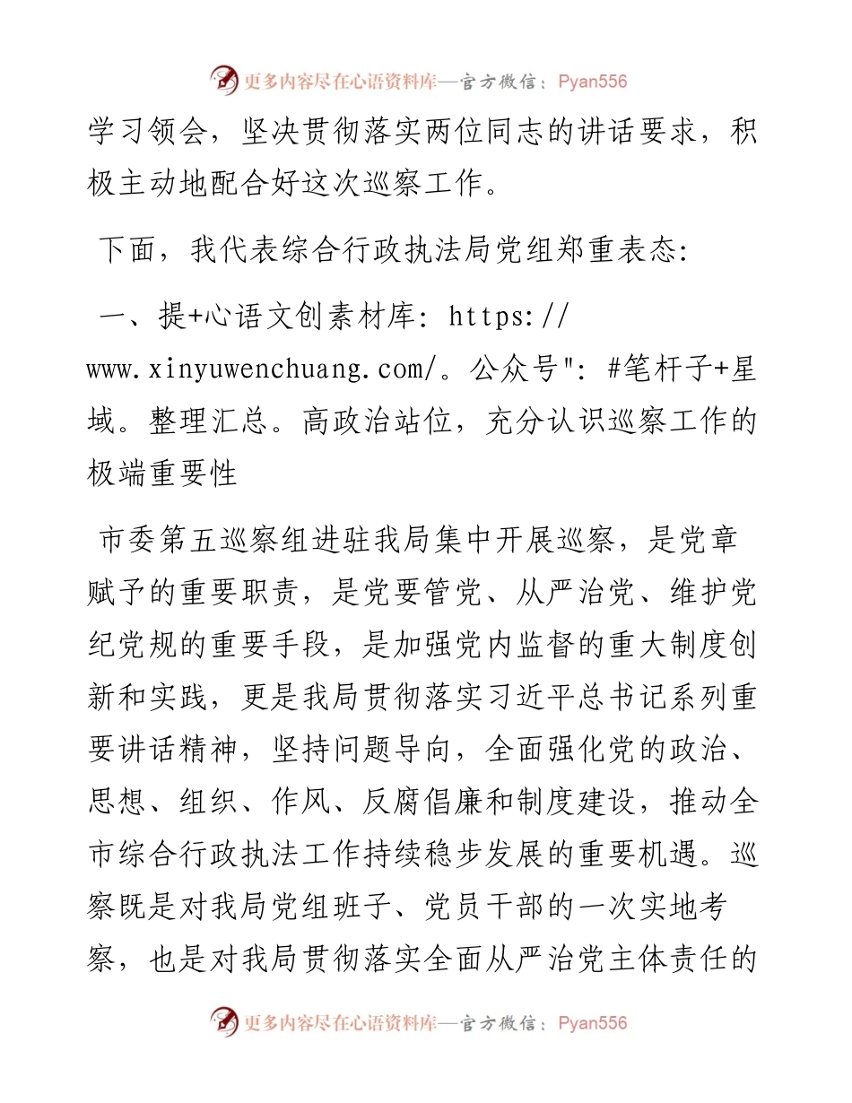 范文系列486乳山市综合行政执法局局长宋海波：在市委第五巡察组巡察市综合行政执法局党组工作动员会上的讲话.docx_第2页