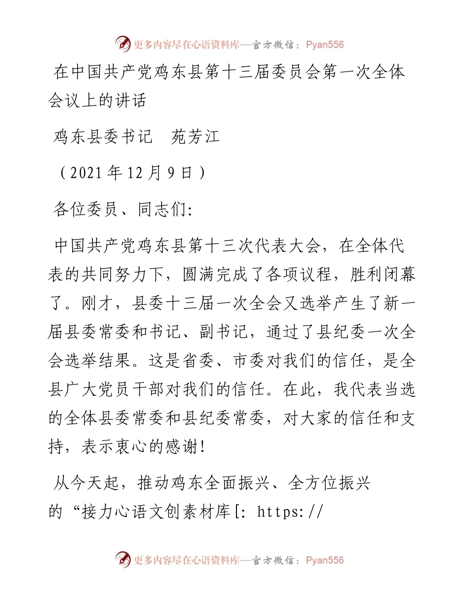 范文系列2965鸡东县委书记苑芳江：在中国共产党鸡东县第十三届委员会第一次全体会议上的讲话.docx_第1页