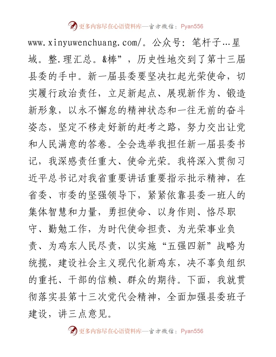 范文系列2965鸡东县委书记苑芳江：在中国共产党鸡东县第十三届委员会第一次全体会议上的讲话.docx_第2页