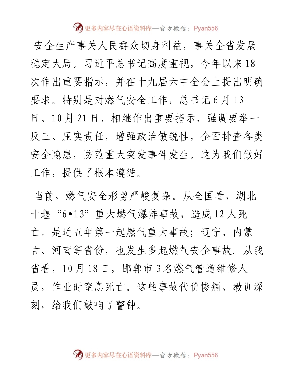 范文系列2721王正谱：在全省燃气安全排查整治动员部署电视电话会议上的讲话.docx_第2页