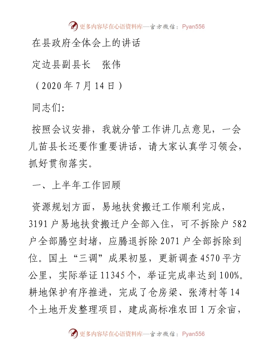 范文系列551定边县副县长张伟在县政府全体会上的讲话.docx_第1页