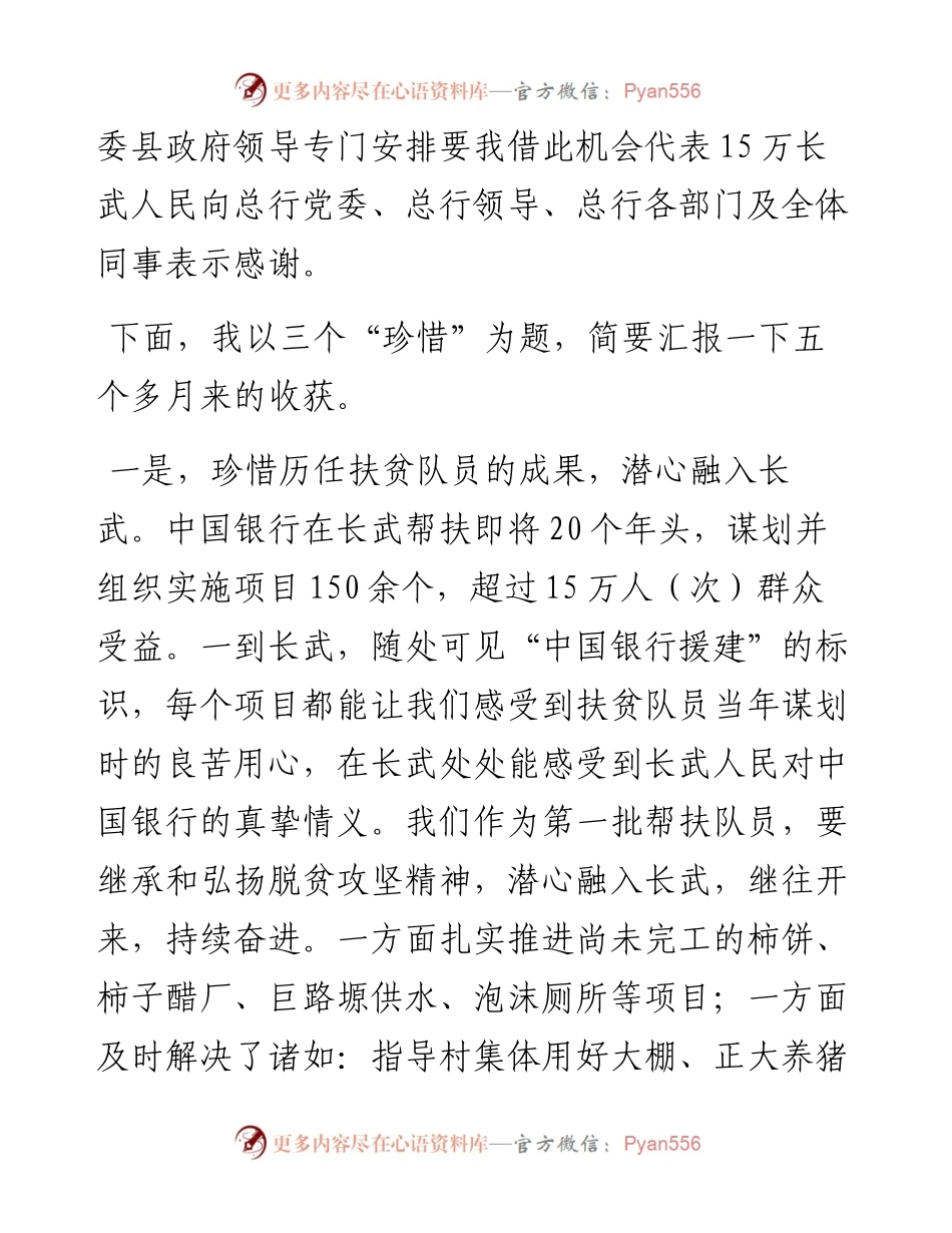 范文系列2600在总行定点帮扶工作推进视频会上的发言.docx_第2页
