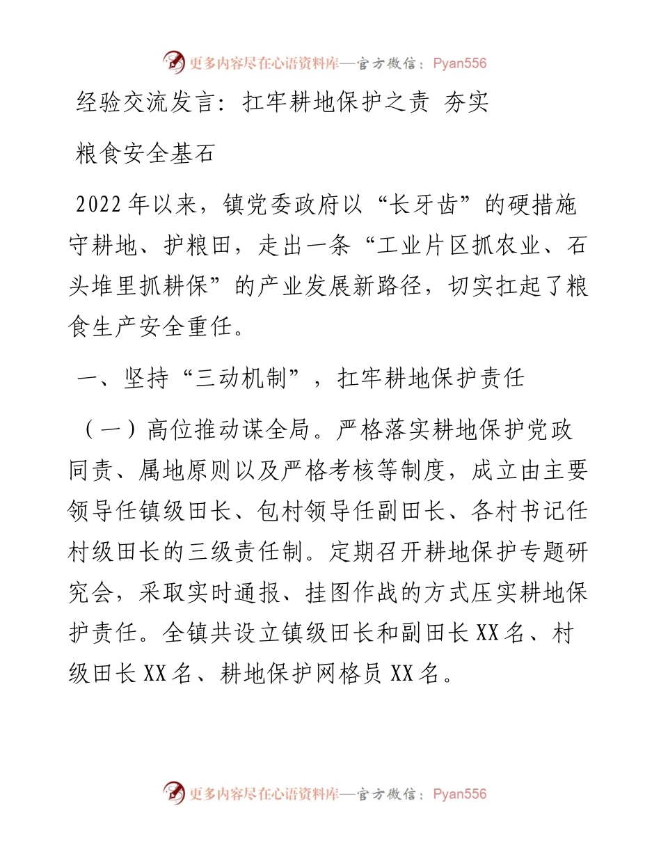经验交流发言：扛牢耕地保护之责 夯实粮食安全基石.docx_第1页