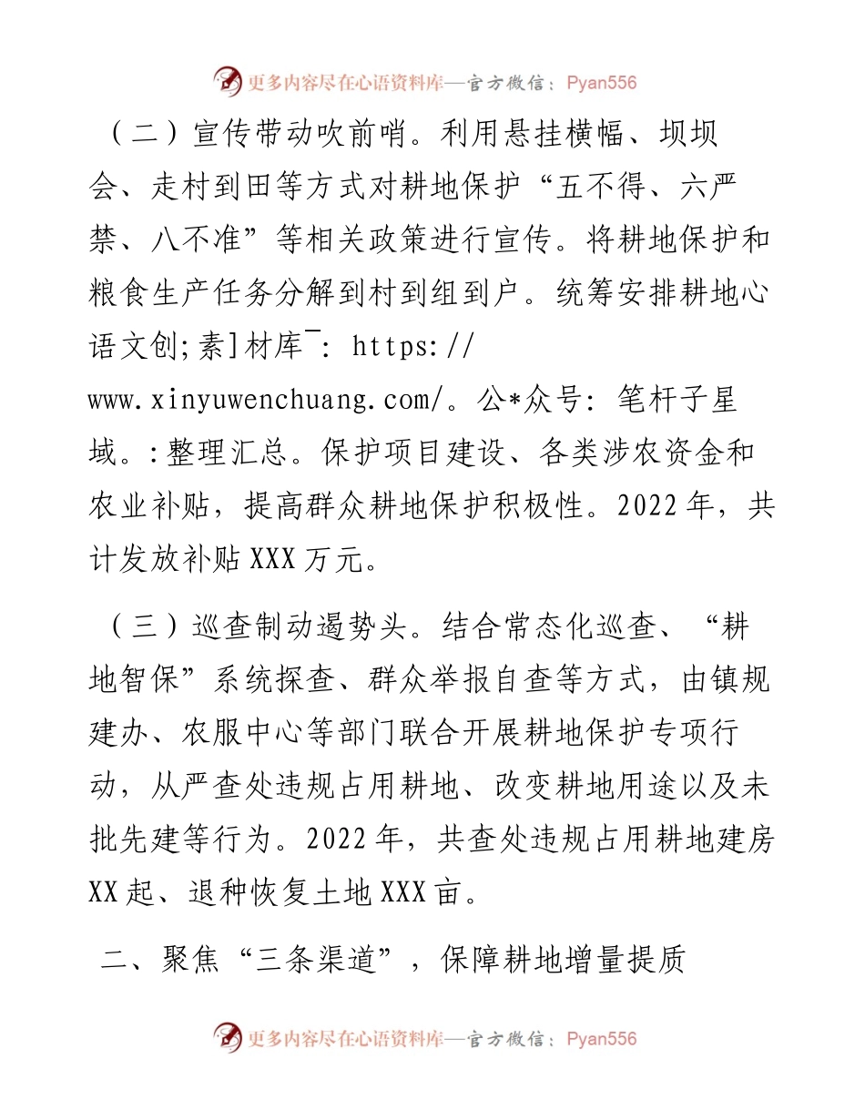经验交流发言：扛牢耕地保护之责 夯实粮食安全基石.docx_第2页