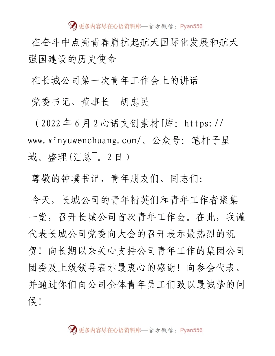 范文系列4050长城公司董事长胡忠民：在长城公司第一次青年工作会上的讲话.docx_第1页