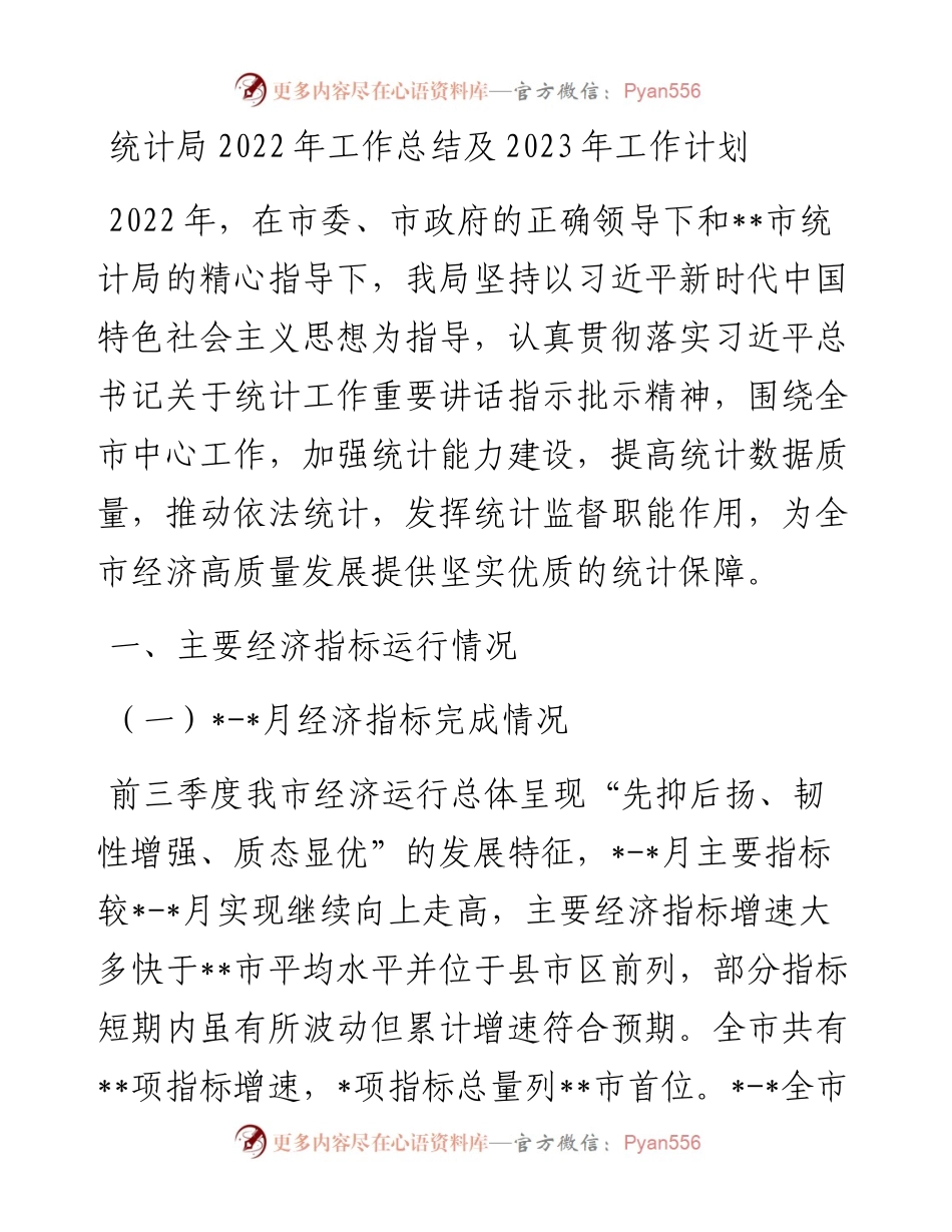 统计局工作总结及2023年工作计划.docx_第1页