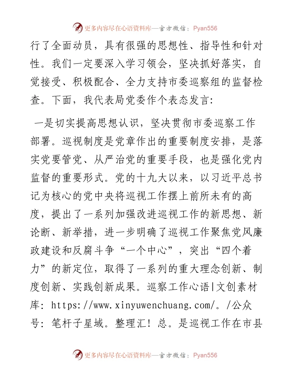 范文系列35萍乡市工信局局长汤萍方在市委第四巡察组巡察市工信局工作动员会上的表态发言.docx_第2页